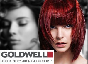 goldwell-at-element-hair
