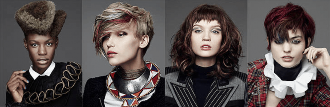 Goldwell Color Zoom 2015