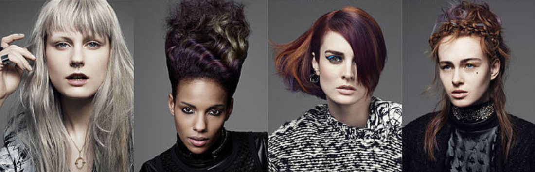 Goldwell Color Zoom 2015