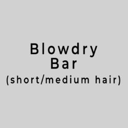 Blowdry bar short hair