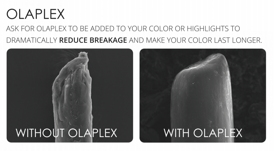 Olaplex hair repair Element Hair Waterloo